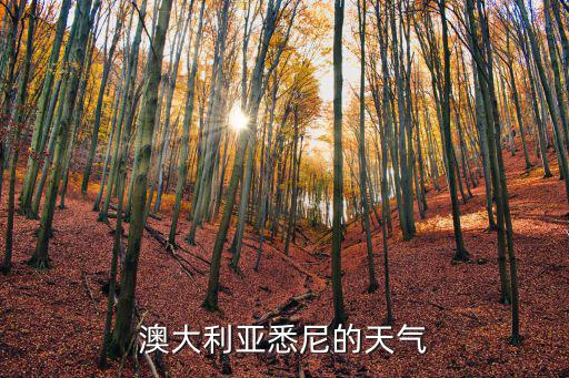 澳大利亞悉尼的天氣