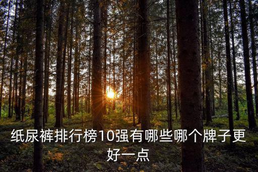 紙尿褲排行榜10強(qiáng)有哪些哪個(gè)牌子更好一點(diǎn)