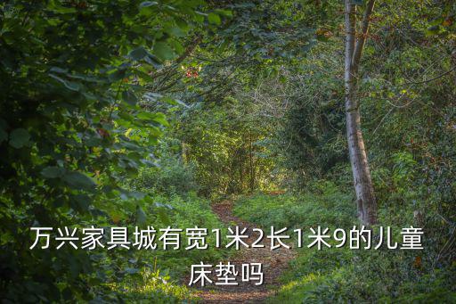 萬興家具城有寬1米2長1米9的兒童床墊嗎