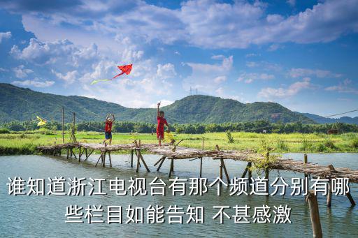 誰知道浙江電視臺有那個頻道分別有哪些欄目如能告知 不甚感激