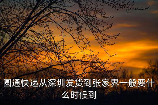 圓通快遞從深圳發貨到張家界一般要什么時候到