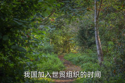 我國加入世貿組織的時間
