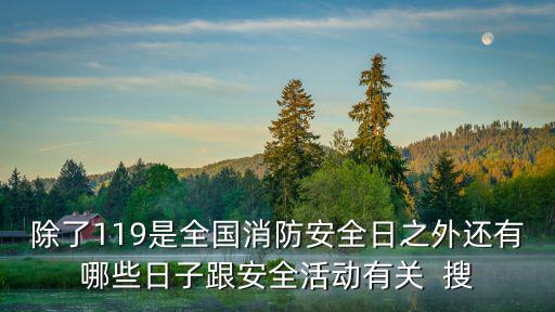 除了119是全國消防安全日之外還有哪些日子跟安全活動(dòng)有關(guān)  搜