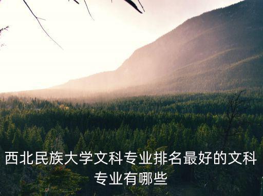 西北民族大學文科專業排名最好的文科專業有哪些