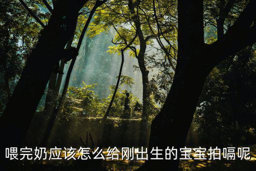 喂完奶應該怎么給剛出生的寶寶拍嗝呢