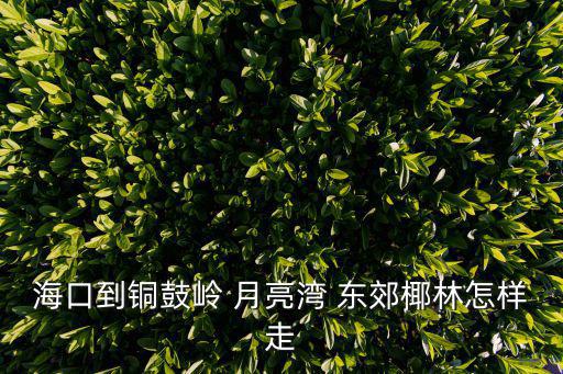 海口到銅鼓嶺 月亮灣 東郊椰林怎樣走