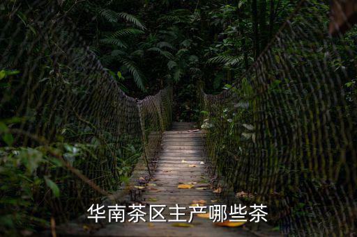 華南茶區(qū)主產哪些茶