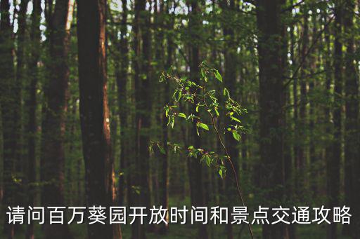 請問百萬葵園開放時間和景點交通攻略