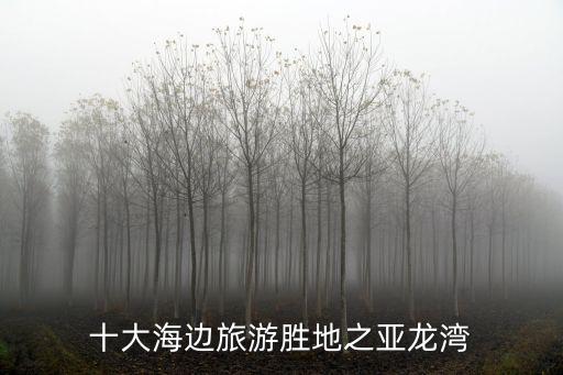 十大海邊旅游勝地之亞龍灣
