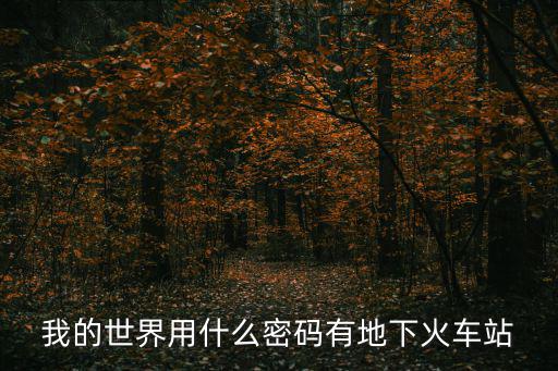 我的世界用什么密碼有地下火車站