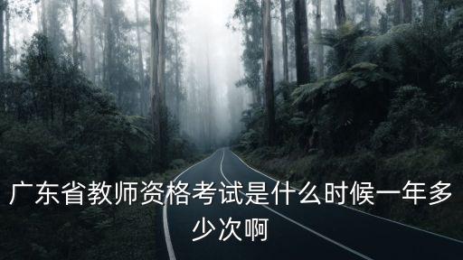 廣東省教師資格考試是什么時候一年多少次啊