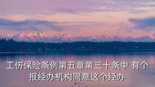 經辦機構，工傷保險條例第五章第三十條中 有個報經辦機構同意這個經辦