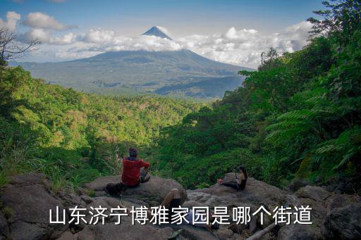 山東濟寧博雅家園是哪個街道
