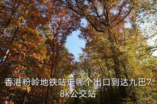 香港粉嶺地鐵站走哪個出口到達九巴78k公交站