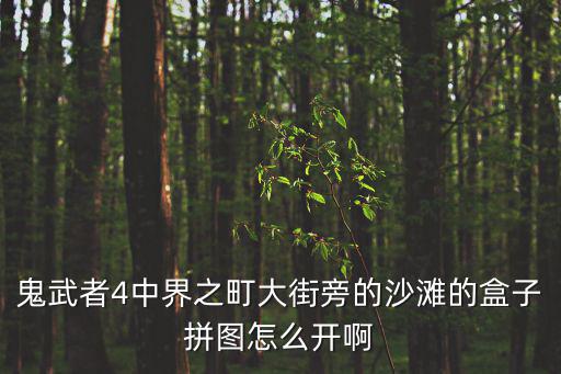 鬼武者4中界之町大街旁的沙灘的盒子拼圖怎么開啊