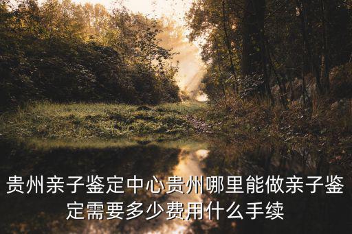 貴州親子鑒定中心貴州哪里能做親子鑒定需要多少費(fèi)用什么手續(xù)