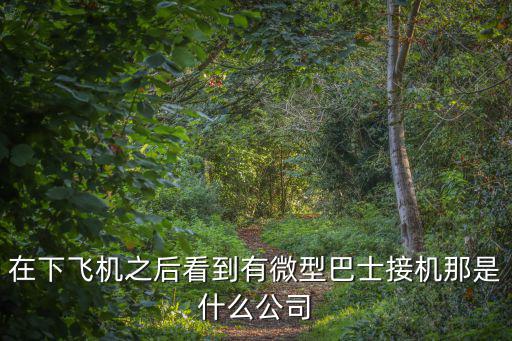在下飛機(jī)之后看到有微型巴士接機(jī)那是什么公司