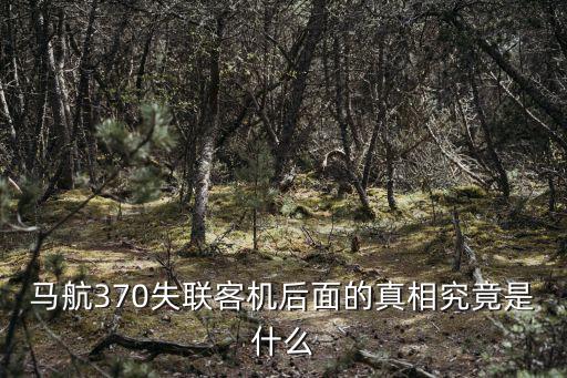 馬航370失聯(lián)客機(jī)后面的真相究竟是什么