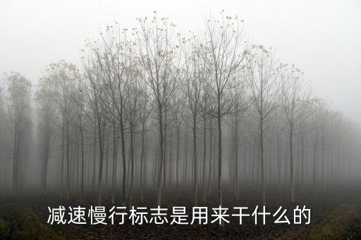 減速標志，連續(xù)下坡 減速慢行屬于什么標志