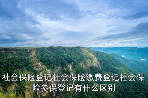 社會保險登記社會保險繳費登記社會保險參保登記有什么區別