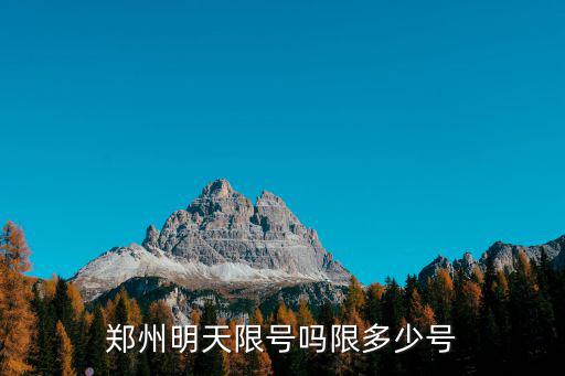 明天限什么號，車明天限尾號多少