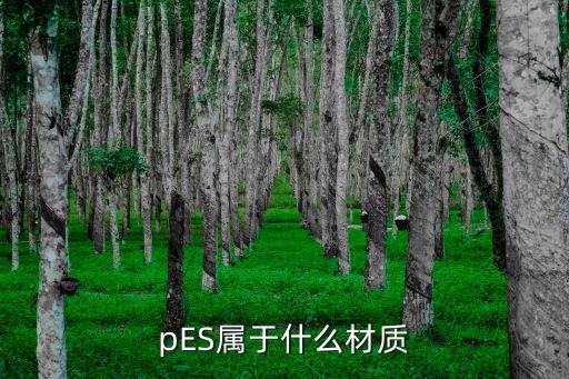 pES屬于什么材質