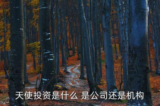 天使投資是什么 是公司還是機(jī)構(gòu)