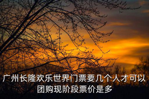廣州長(zhǎng)隆歡樂世界門票要幾個(gè)人才可以團(tuán)購(gòu)現(xiàn)階段票價(jià)是多