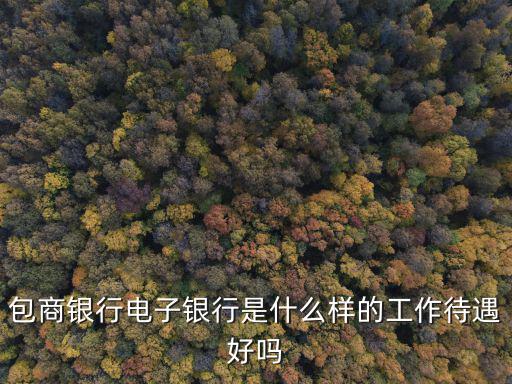 包商銀行電子銀行是什么樣的工作待遇好嗎