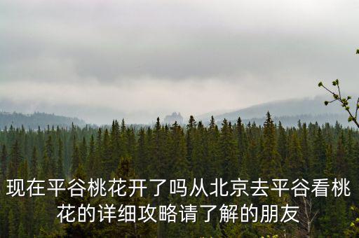 平谷桃花，平谷桃花開了嗎五一放假想去平谷看桃花哪兒比較好啊先謝了