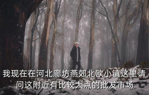 我現在在河北廊坊燕郊北歐小鎮這里請問這附近有比較大點的批發市場