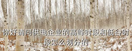 高峰時段，關于商場高峰時間段大概是幾點到幾點 謝謝