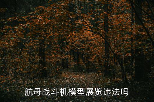 航母戰斗機模型展覽違法嗎