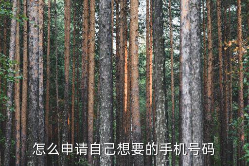 辦理手機號，網上怎么辦理手機號