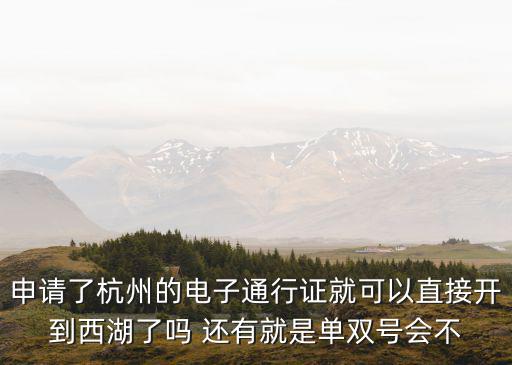 申請(qǐng)了杭州的電子通行證就可以直接開到西湖了嗎 還有就是單雙號(hào)會(huì)不