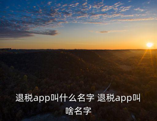 退稅app，江蘇省出口退稅應該使用什么軟件揚州地區在哪個網站下載申報
