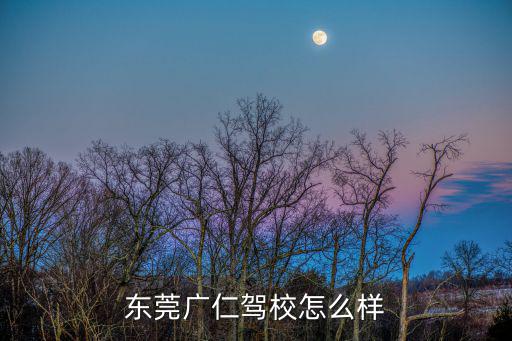 東莞廣仁駕校怎么樣