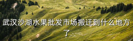 武漢沙湖，武漢沙湖水果批發(fā)市場(chǎng)搬遷到什么地方了