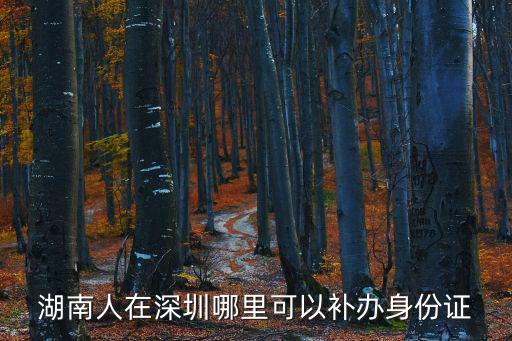 湖南人在深圳哪里可以補辦身份證