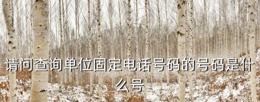 請問查詢單位固定電話號碼的號碼是什么號