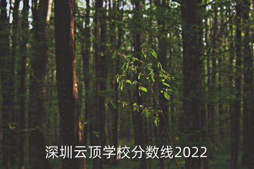 深圳云頂學校分數線2022