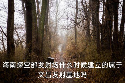 文昌發(fā)射場，文昌衛(wèi)星發(fā)射基地建成火箭火箭研究制造中心會不會是海口  搜