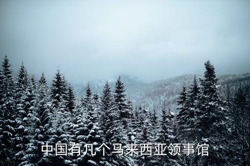 中國有幾個馬來西亞領事館
