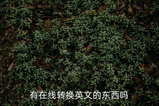 有在線轉換英文的東西嗎