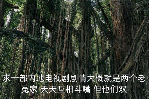 求一部內(nèi)地電視劇劇情大概就是兩個(gè)老冤家 天天互相斗嘴 但他們雙