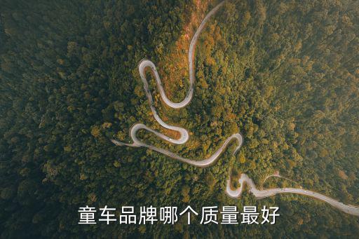 嬰兒車品牌，在國內(nèi)嬰兒手推車有那些好的牌子