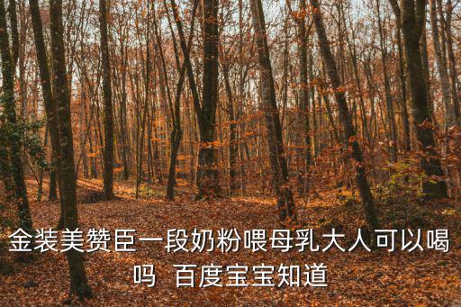 金裝美贊臣一段奶粉喂母乳大人可以喝嗎  百度寶寶知道