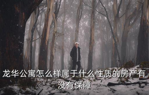 龍華公寓怎么樣屬于什么性質的房產有沒有保障