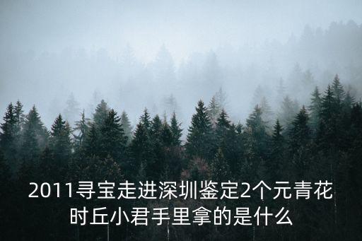 2011尋寶走進深圳鑒定2個元青花時丘小君手里拿的是什么