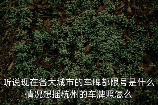 杭州車牌搖號官網(wǎng)，杭州什么時(shí)候開始申請搖號